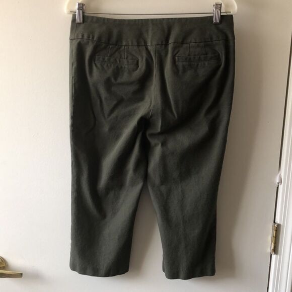 Laura Ashley Petites Capri Size 6p Olive GUC - Picture 2 of 5